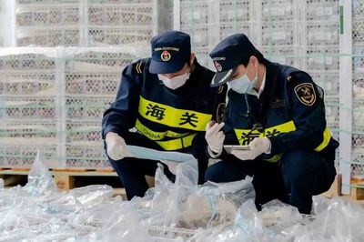 新修訂《進(jìn)出口食品安全管理辦法》即將施行 進(jìn)口更安全，出口更通暢
